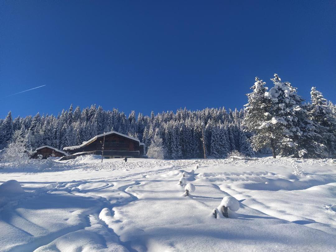 Chalet Lisa Морзин Экстерьер фото